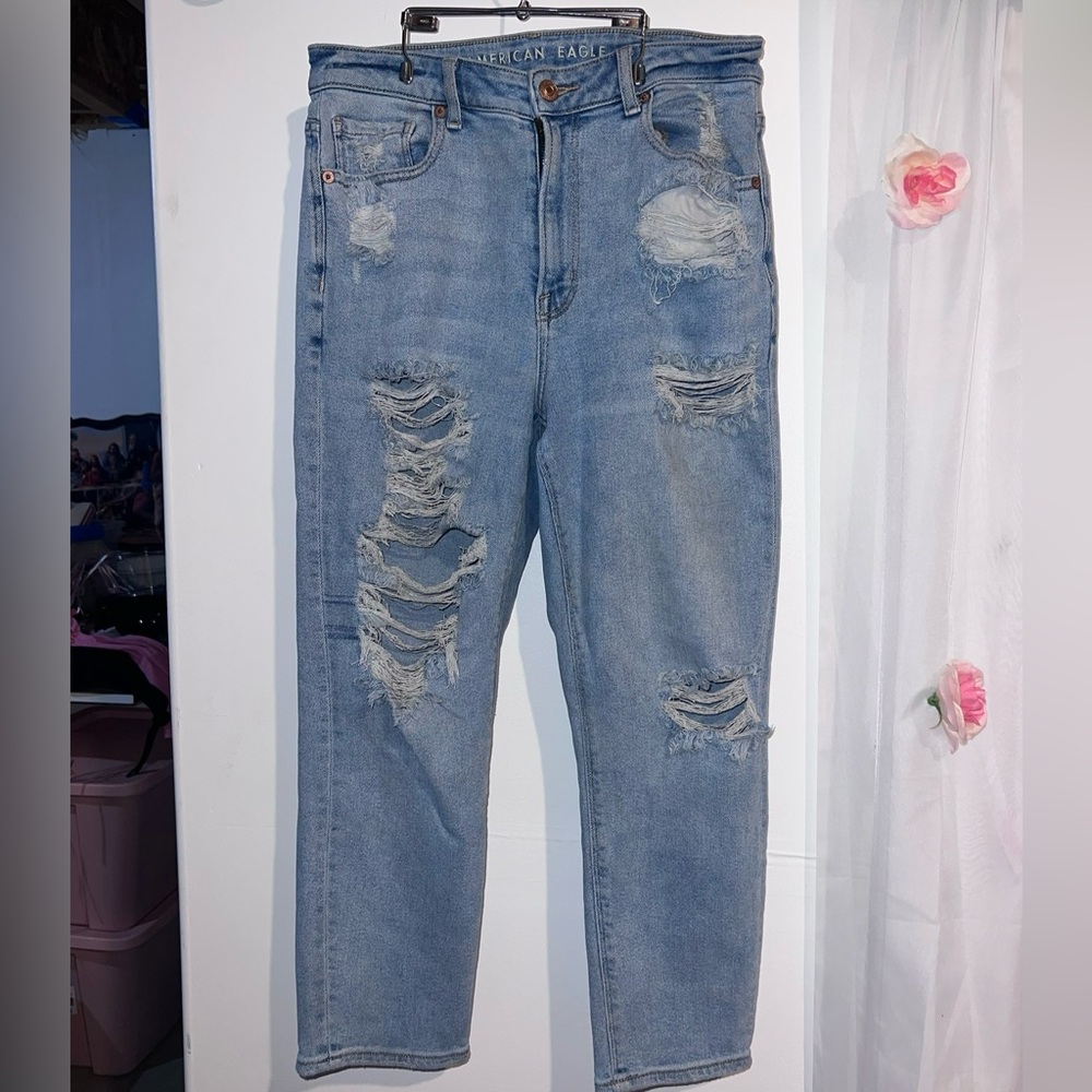 AE Mom Jeans